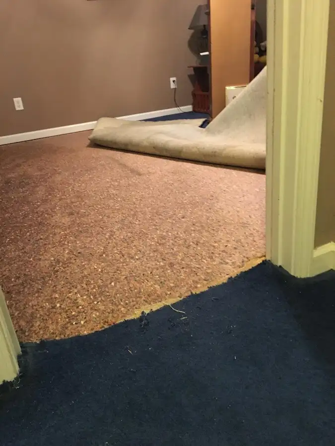 Carpet pad removal revealing water damage during Water Mitigation Services in Lakeland Village