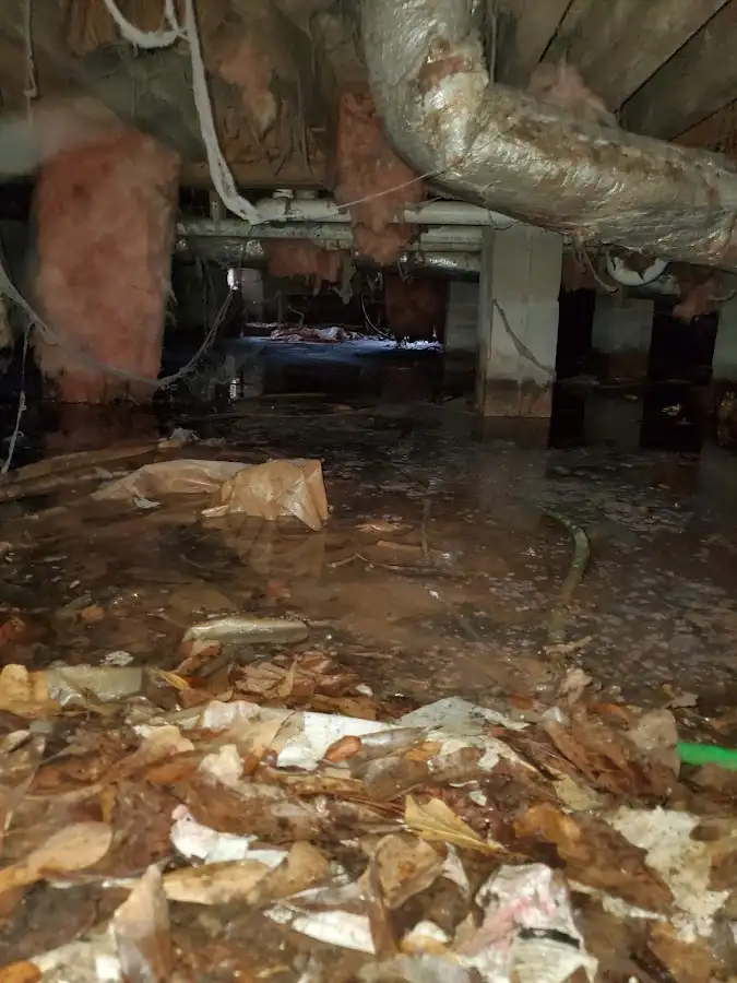 Crawl space flood assessment for Commercial Water Damage Restoration in Lakeland Village